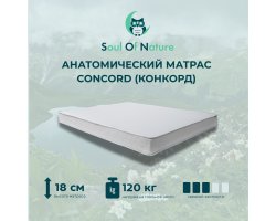Анатомический матрас Конкорд